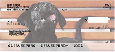 Black Lab Puppies Bank Checks