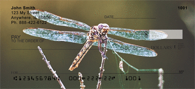Dragonflies Up Close Personal Checks