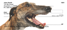Greyhound Checks - Greyhounds Personal Checks