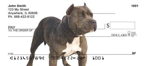 American Pitbull Terrier Checks