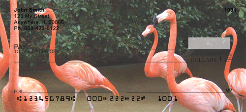 Flamingo Sampler Personal Checks