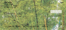 Tropical Fern Checks - Tropical Ferns Background Personal Checks