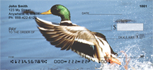 Duck Checks - Mallard Ducks Personal Checks