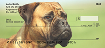Bullmastiff Checks - Bullmastiff Personal Checks