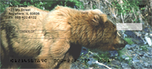 Kodiak Bear Checks - Kodiak Bears Personal Checks