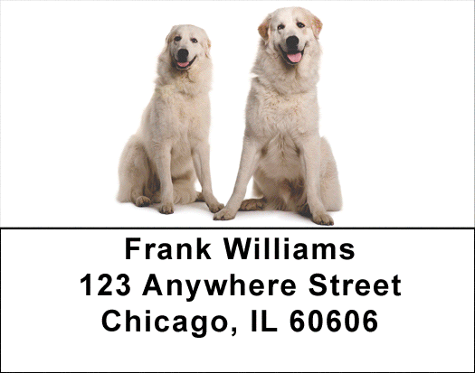 Great Pyrenees Address Labels - Great Pyrenees Labels