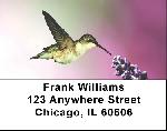 More Hummingbird Address Labels