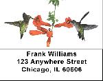 Hummingbird Labels - Cool Hummingbirds Address Labels