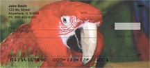 Parrot Checks - Macaws Up Close Personal Checks