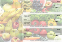 Fresh Produce Accounts Payable Designer Business Checks | BU3-CDS09-DED