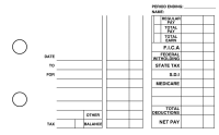 Fresh Produce Multi Purpose Designer Business Checks  | BU3-CDS09-DEP