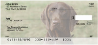Grand German Shorthair Pointer Personal Checks | DOG-78