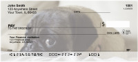 Mischievous Pugs Personal Checks | DOG-87