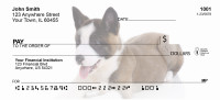 Akita Puppies Personal Checks | GCA-05