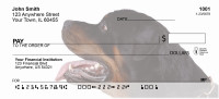 Rottweiler Personal Checks | GCA-24