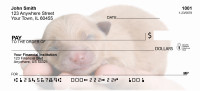Pomeranian Personal Checks | GCA-42