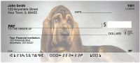 Bloodhound Personal Checks | GCA-71