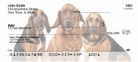 Bloodhound Personal Checks | GCA-71