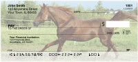 Arabian Horse Personal Checks | GCB-68