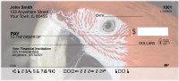 Macaws Up Close Personal Checks | GCC-14