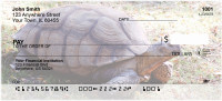 Tortoise Personal Checks | GCS-08