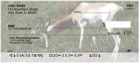Gazelle Personal Checks | GCS-13