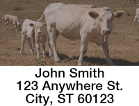 Adorable Calves Address Labels  | LBANJC-30
