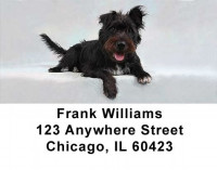 Custom Photo Address Labels | LBCUS-01