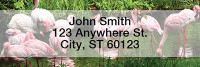 Flamingos Rectangle Address Labels | LRANI-24