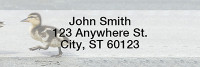 Ducks Rectangle Address Labels | LRANI-30