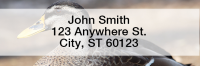 Ducks Rectangle Address Labels | LRANI-30