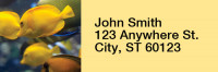 Tropical Fish Narrow Address Labels | LRRANI-01