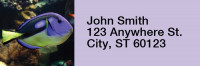 Tropical Fish Narrow Address Labels | LRRANI-01