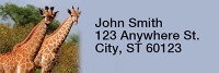 Safari Wildlife Narrow Address Labels | LRRANI-03