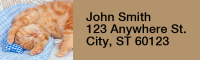 Cute Kittens Rectangle Address Labels | LRRANI-06R