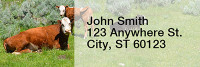 Bonding Baby Calves Rectangle Address Labels | LRRANK-89