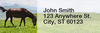 Grazing Freedom Rectangle Address Labels  | LRRANK-92