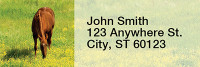 Grazing Freedom Rectangle Address Labels  | LRRANK-92