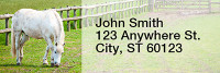 Grazing Freedom Rectangle Address Labels  | LRRANK-92