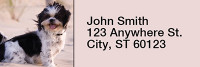 Shih Tzus Rectangle Address Labels | LRRDOG-22
