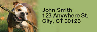 Fun with Bulldogs Rectangle Address Labels | LRRDOG-23