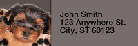 Yorkshire Terriers Rectangle Address Labels | LRRDOG-24