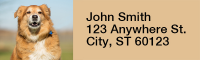 Golden Retriever Rectangle Address Labels | LRRDOG-39