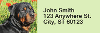 Rottweiler Rectangle Address Labels | LRRDOG-40