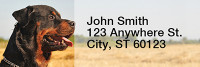 Rottweiler Rectangle Address Labels | LRRDOG-40