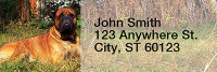 Majestic Mastiff Rectangle Address Labels | LRRDOG-41