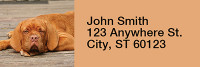 Majestic Mastiff Rectangle Address Labels | LRRDOG-41