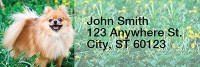 Pomeranian Rectangle Address Labels | LRRDOG-42