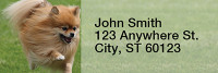 Pomeranian Rectangle Address Labels | LRRDOG-42