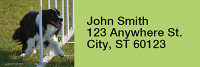 Agility Border Collies Rectangle Address Labels | LRRDOG-45